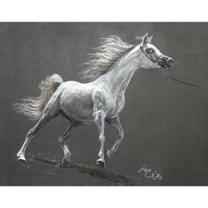 100% hand-painted pastel horse portrait from photo, pet portrait, cat portrait, animal portrait, animal portrait from photo