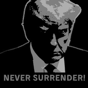 Donald Trump Mugshot Digital File PNG