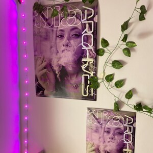 Aesthetic Nia Archives Forbidden Feelingz Poster High Quality A4 A3
