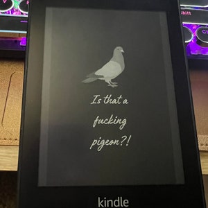 Pigeon - Kindle Lock Screen