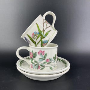 Paar Portmeirion Botanic Garden Drum Flache Tasse & Untertassen England Blumen Schmetterling