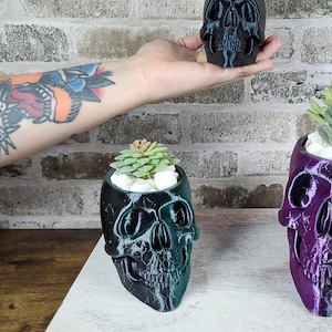 Puede incluir: Tres macetas con forma de calavera con diferentes esmaltes de colores. Las macetas están llenas de pequeñas suculentas verdes.