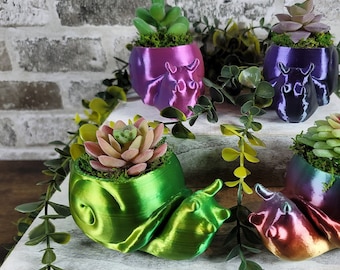 Snail Succulent Planter | Home Decor | Unique Gift | 3D Printed