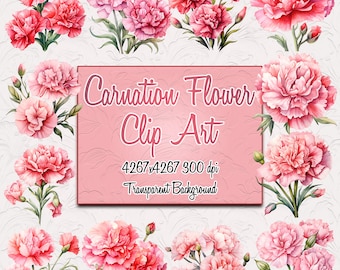 Aquarel anjer bloem clip art 50 bundel