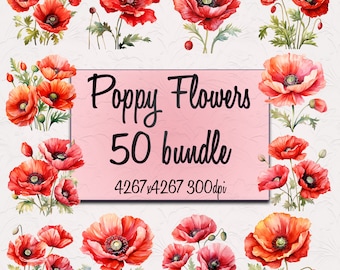 Aquarel Poppy Flower Clip Art 50 bundel