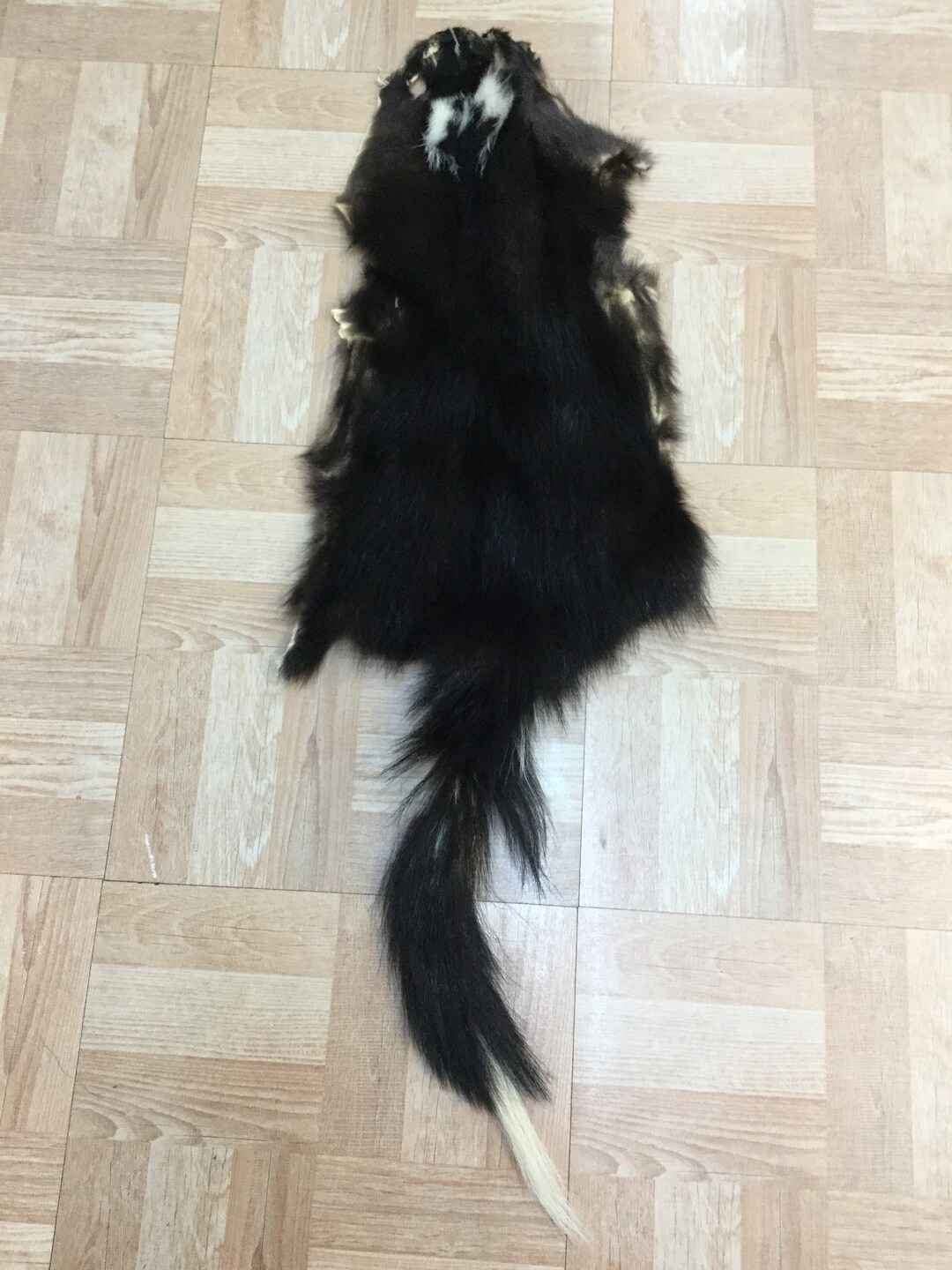 Reduced b Grade Tanned Skunk Pelt Fur Hide Skin - Etsy