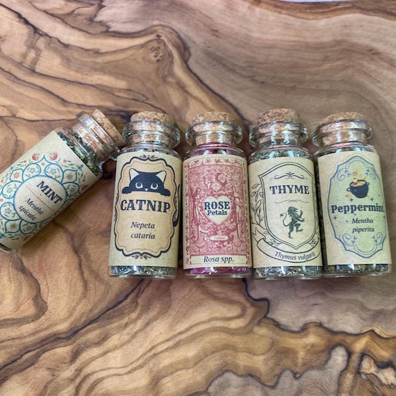 Dried Botanicals in 10ml Glass Jars | Herbs, Flowers, Seeds & Roots | Botanical Craft Supplies