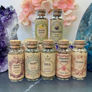 May include: Seven small glass jars with cork stoppers, each filled with dried herbs or seeds. Labels feature botanical names and illustrations for Lemon Balm, Peppermint, Lemon Grass, Mint, Dill, Caraway Seeds, and Fennel in a vintage style.