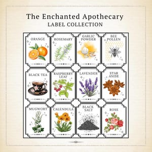 Printable Apothecary Spice Jar Labels | Herb Jar Labels | Vintage Apothecary Labels | Kitchen Organization Labels | Witchy Kitchen Decor