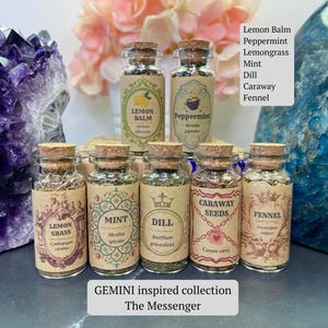 May include: A collection of nine small glass jars with cork stoppers, each filled with dried herbs and labeled with names including Lemon Balm, Peppermint, Lemongrass, Mint, Dill, Caraway Seeds, and Fennel. The labels feature decorative borders and text.