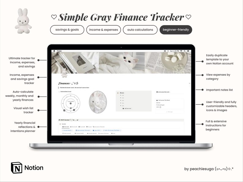 2026 Grey Finance Tracker Notion Template | Minimalist Notion All-in ...