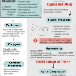 May include: A flowchart diagram outlining steps to manage postpartum hemorrhage. The diagram includes the acronym DRABCDE, IV access, oxygen, comfort measures, fundal massage, uterotonics, and aortic compression. The diagram also includes an exclamation point warning to not perform fundal massage if the placenta hasn't been delivered yet or the fundus is already firm.