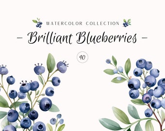 Watercolor Clipart - Brilliant Blueberries - Card Clipart - Blueberry - Digital Stickers - Instant Download - Pastel Clipart - Blueberry Art