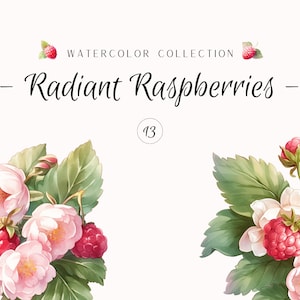 May include: Watercolour illustration of two bouquets of pink flowers and red raspberries with green leaves. The text "Watercolour Collection - Radiant Raspberries - 13" is above the bouquets.