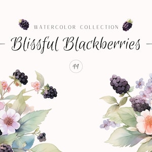 Watercolor Clipart - Blissful Blackberries - Card Clip Art - Instant Download - Blackberry Art - Blackberry Illustrations - Digital Stickers