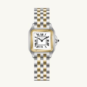Reloj PRESTIGE BICOLOR