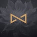 InfinityManaShop store logo