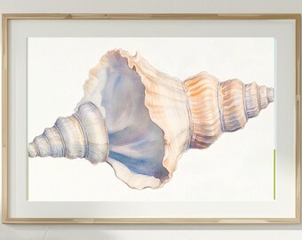 Aquarell Muschel Digitaldruck, Küsten Muschel Wandkunst, Strand Haus Dekor, Ozean Thema Badezimmer Kunst, Instant Download druckbare