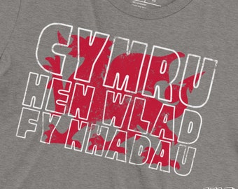 Cymru Dragon Flag Tee: Vintage Wales T-Shirt