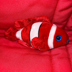 Jester the Clown Fish •   Beanie Baby