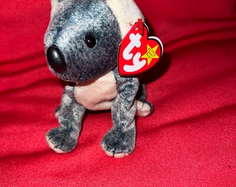 Eucalyptus • the Koala Beanie Baby