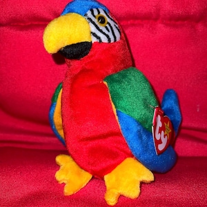 Jabber • the Parrot with Canadian tush tag