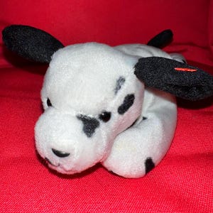 Dotty the Dalmation Dog •  Beanie Baby -NO ear tag