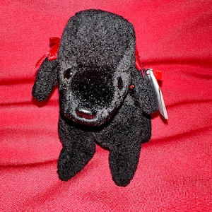 Gigi • the Poodle Dog  Beanie Baby