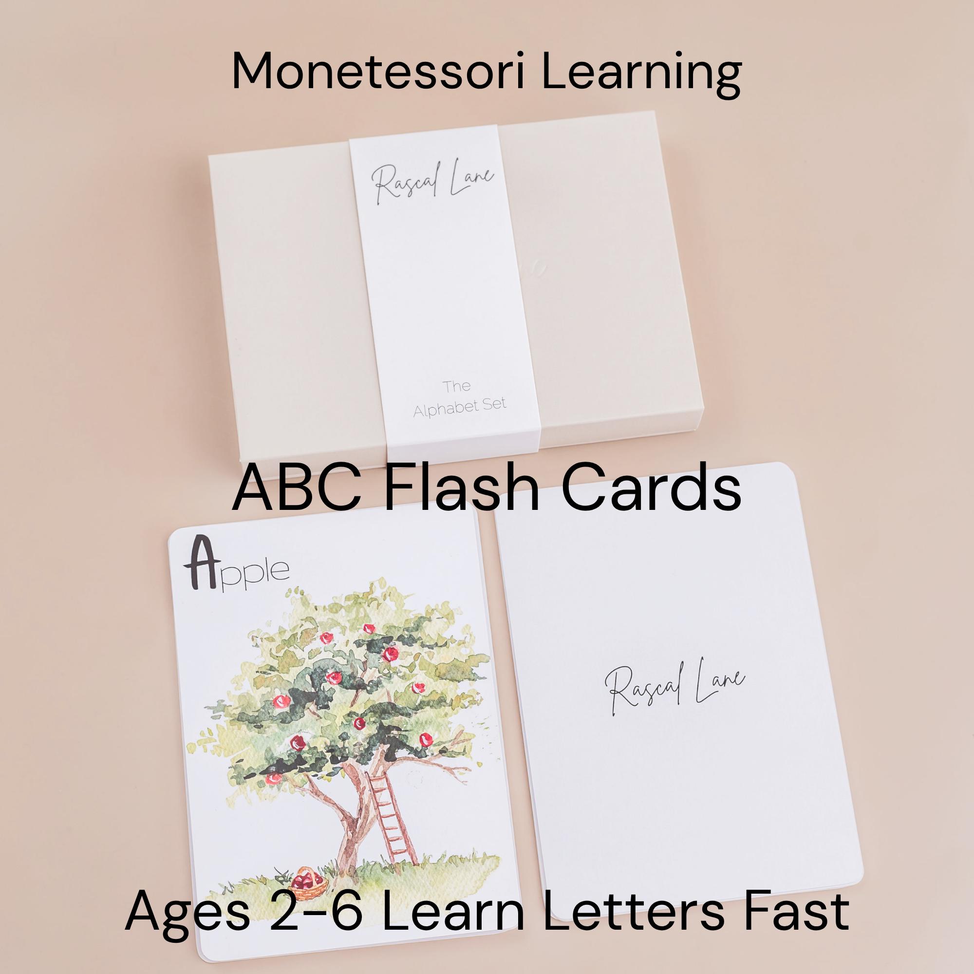 Alphabet Flash Cards for Toddlers – ABC Learning, Preschool Montessori ...