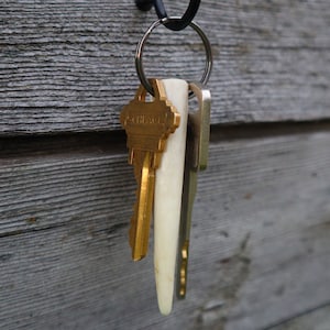 Whitetail Deer Antler Keychain