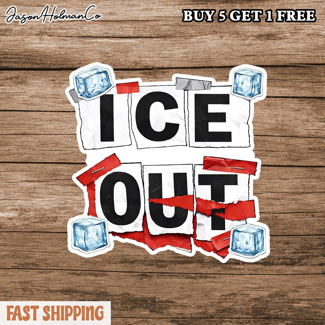ICE OUT Magnet or Decal: Anti-ice, Protest Bumper Sticker - Etsy