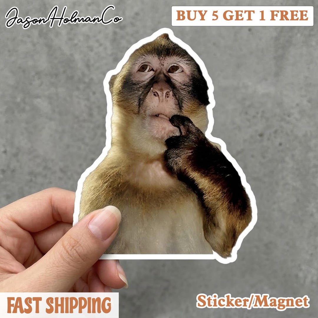 Thinking Monkey Sticker | Funny Meme Animal Decal | Weird Humor Gift ...