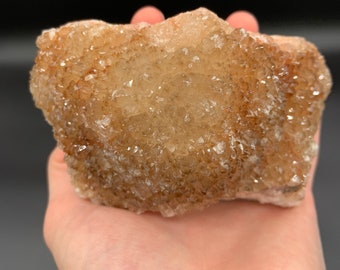 Root Beer Druzy Quartz on Lace Agate: Missouri Mined Crystal (738
