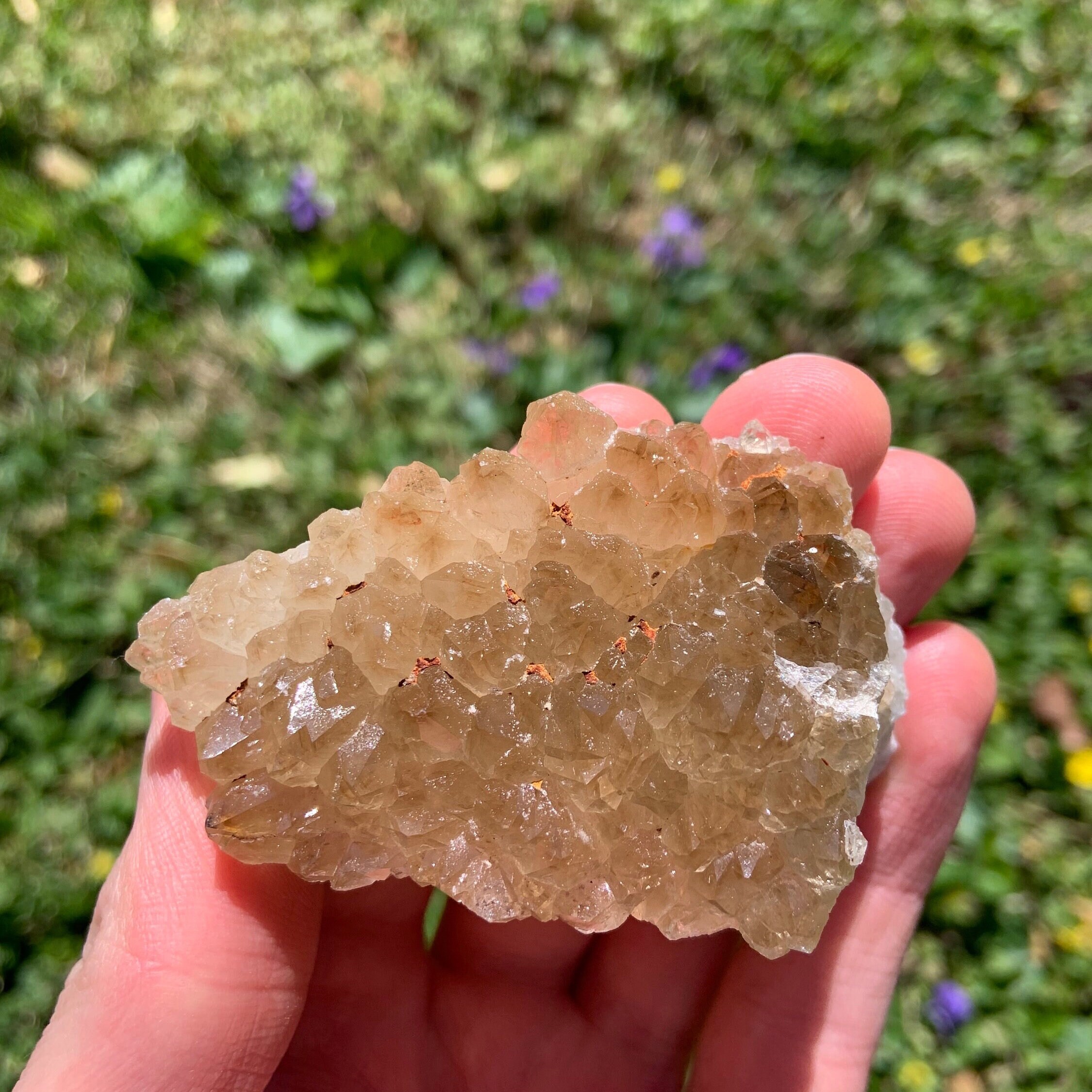 Missouri Root Beer Druzy Quartz Crystal With Lace Agate Banding - Etsy