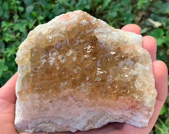 Druzy Quartz Crystal - Missouri Root Beer Druzy Quartz on Lace Agate and Fossil Algae