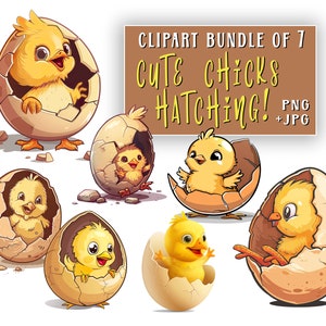 Lindos pollitos de pollo saliendo de un huevo, paquete de imágenes prediseñadas de 7, animales bebés, animales de granja divertidos, arte de acuarela, sublimación, imprimibles