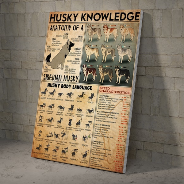 Husky Knowledge Anatomy Of A Siberian Husky Breed Poster and Canvas