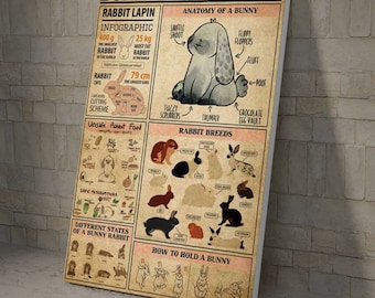 Bunny knowledge, Rabbit Lover, Anatomy Of A Bunny Poster and Canvas