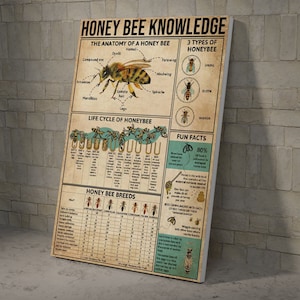 Póster y lienzo La anatomía de una abeja de miel