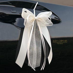 Hochzeit autoschleife