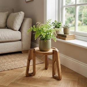 Puede incluir: Un pequeño soporte de madera para plantas con una parte superior redonda y tres patas. Una planta verde en maceta se encuentra sobre el soporte. El soporte está hecho de madera de color marrón claro y tiene detalles recortados en las patas. El fondo incluye un sofá, una alfombra y una ventana.