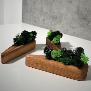 Può includere: Tre vasi triangolari in legno con muschio conservato in tonalità di verde. I vasi sono realizzati in legno naturale e hanno una finitura rustica.