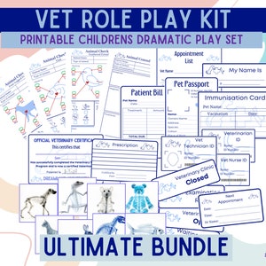 Vet Dramatic Play Printable, Kids Animal Hospital Role Play, Preschool Printable Learning