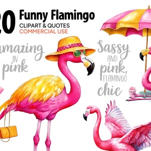 Funny Pink Flamingo Watercolor Clipart & Quotes, Individual PNG SVG Images, Instant Download Digital Art Print, Commercial Use Illustrations