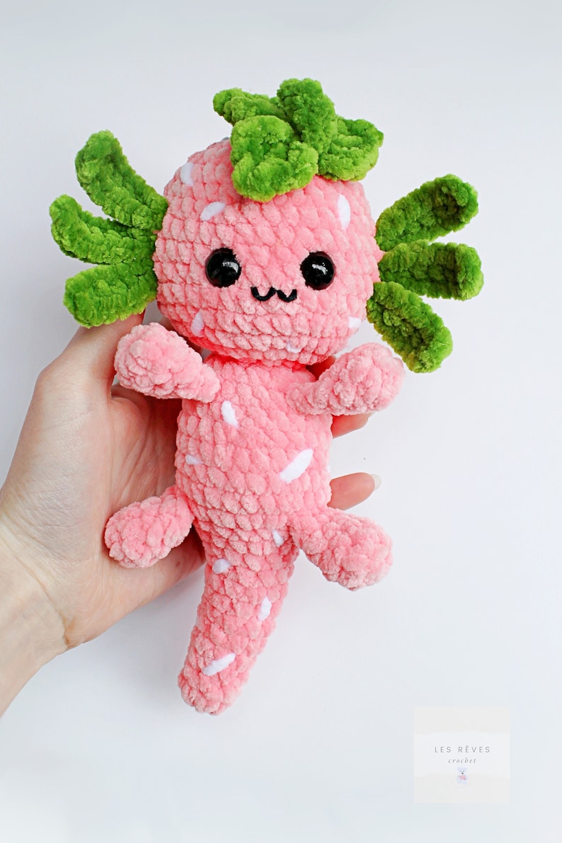 No Sew Axolotl Crochet Pattern, Cute Flower Axolotl No Sew Amigurumi Pattern, Plushie Pattern For Beginners, 3 in 1 Bundle PDF Pattern image 2