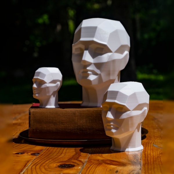 3D Printed Planar Head Sculpture - Modern Geometric Art Decor - Artistic Planar Headpiece - Drawing Tool - Functional 3D Facial Structure