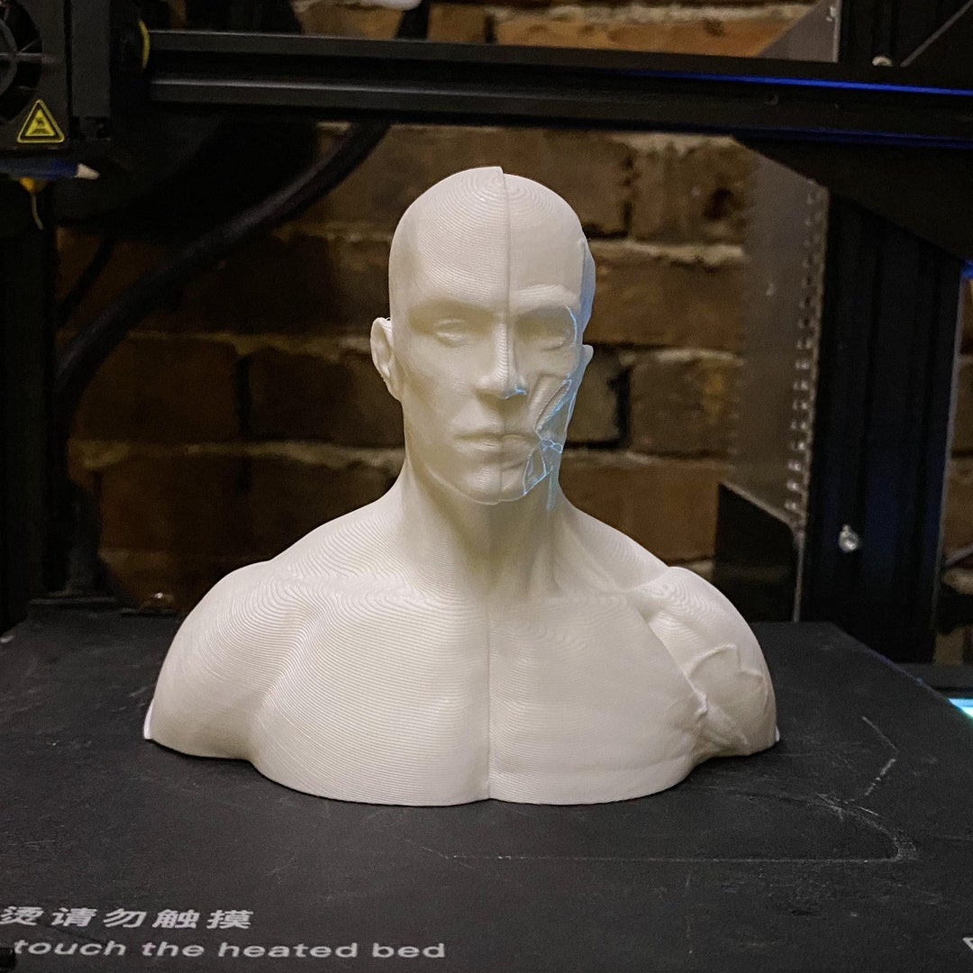 4.5'' BESTSELLER 3dprinted Male Anatomy Art Reference, Ecorche Action