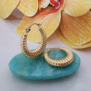 14K Gold Seashell Earrings, Mussel Hoop Earrings, Gold Hoop Earrings For Sea Lovers, Daily Earrings, Gold Nautical Earrings, Gift For Her