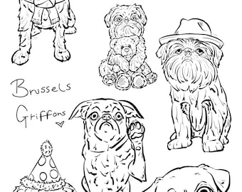 Dibujos para colorear del grifón de Bruselas, ilustraciones dibujadas a mano (descarga digital)