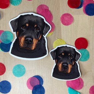 Cute Rottweiler sticker. Personalised sticker with your dogs name. Unique sticker of cute rottie. Rottweiler gifts. Personalised gift.